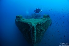 Cargo Armato