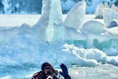 239a05c4-2e5b-421b-a5b9-e667635c7369