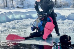 f2169505-3028-473e-8326-c0e4b473b3d6