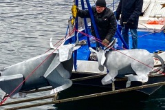 7A658FE9-3A92-42FF-9620-5E19033EE583