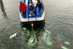 E945AC29-31FD-4321-B5B6-86550D068EFE